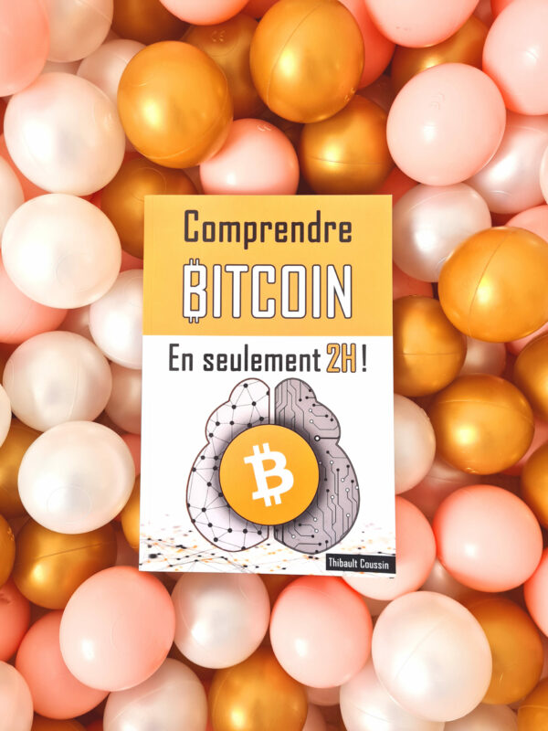Comprendre Bitcoin en seulement 2h ! (Couleur) – Image 3
